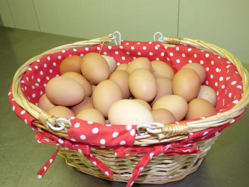 Oeufs